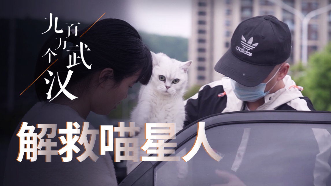 【冬呱】解救喵星人!武汉留守猫已经饿到吃猫砂、火锅底料了丨《九百万个武汉》第4集